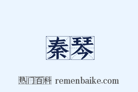 秦琴是什么意思的图片